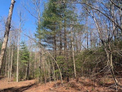 0 E New Hope Rd, Ellijay, GA, 30536 | Card Image
