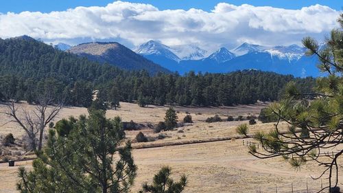 311 Kit Carson Trail, Cotopaxi, CO, 81223 | Card Image