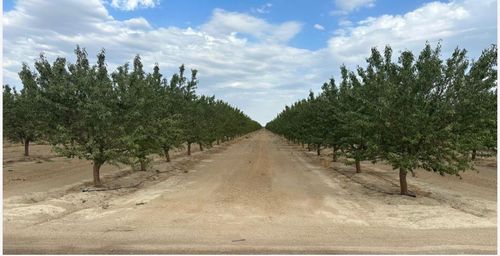 4783 W Manning Ave, Fresno, CA, 93706-9156 | Card Image