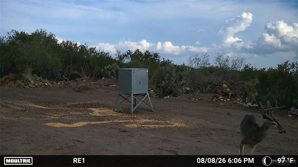 Land in Zapata 3
