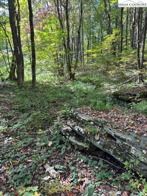 36 Beechwood Cir, Creston, NC, 28615 | Card Image