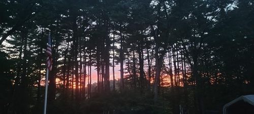 241 South St, Medfield, MA, 02052-3108 | Card Image