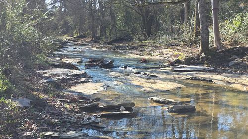 3931 Taylors Store Rd, Hampshire, TN, 38461-4547 | Card Image