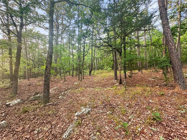 53 - 53 Homestead Trl, Home with 0 bedrooms, 0 bathrooms and null parking in Moyers OK | Image 19