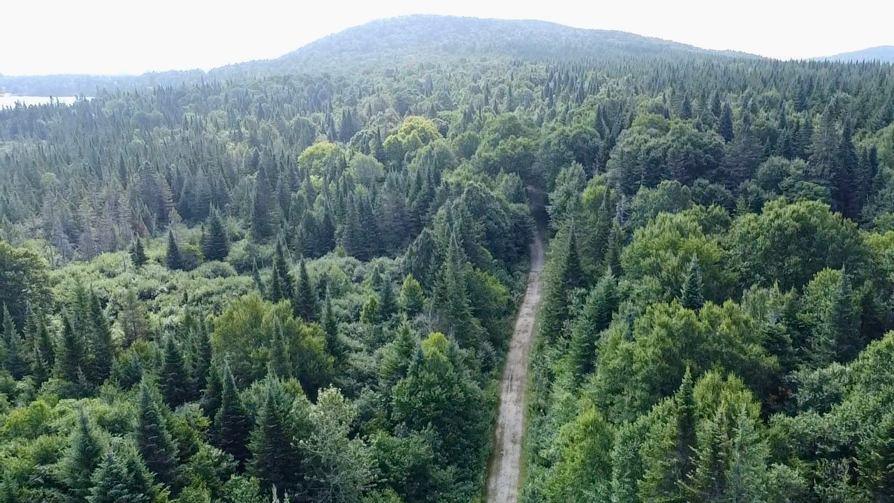 Land in Saint-Paul-de-Montminy 3