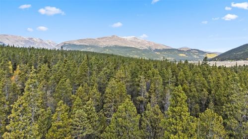 401 Willow Ln, ALMA, CO, 80420 | Card Image