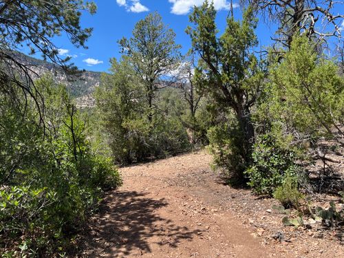1A3 Calle Pinon Ln, Jemez Springs, NM, 87025 | Card Image