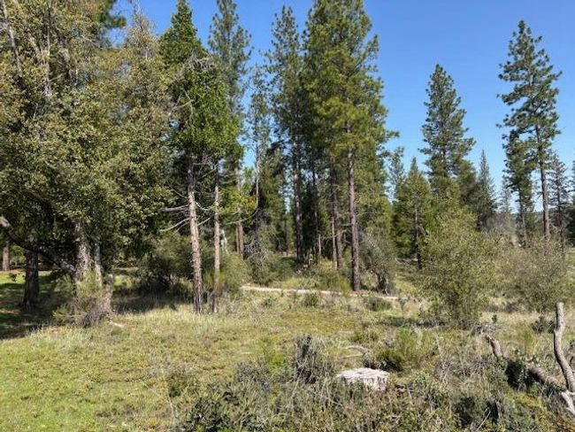 19292 Shawnee Trl, Home with 0 bedrooms, 0 bathrooms and null parking in Mokelumne Hill CA | Image 61