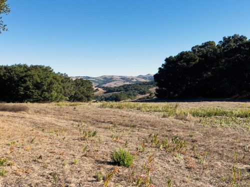 7 Holding Field Run, Carmel, CA, 93923-7725 | Card Image