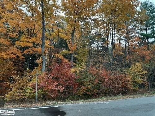 LOT 354 Desroches Trail, Tiny, ON, L9M | Card Image