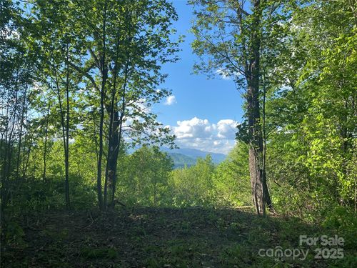 915-1099 Mitchell View Dr, Old Fort, NC, 28762-4752 | Card Image
