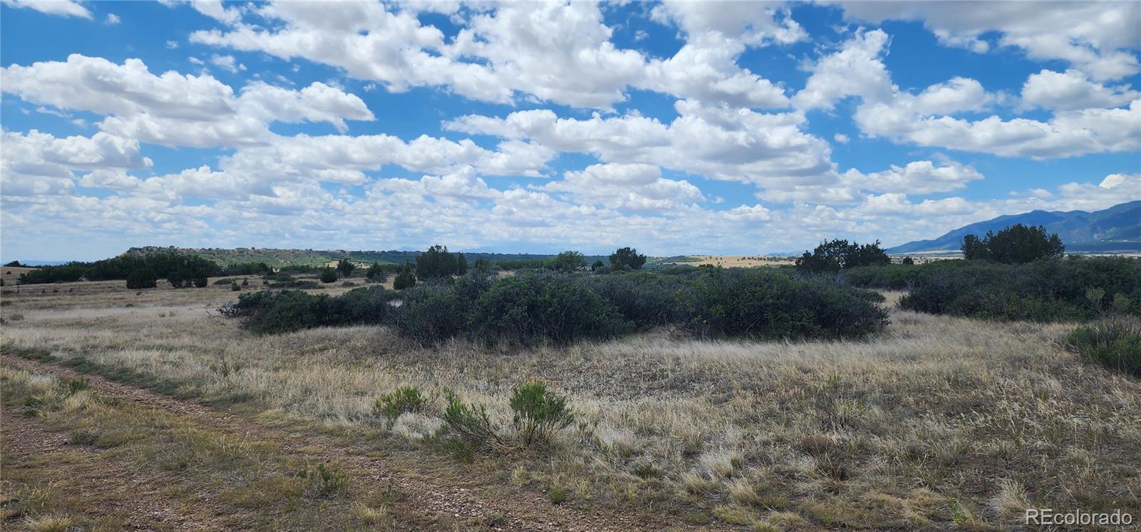 Land in Colorado City 4