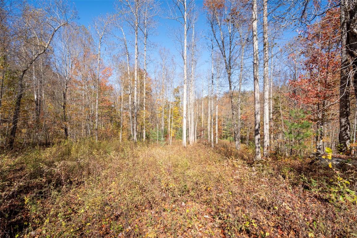 Land in Glenville 4