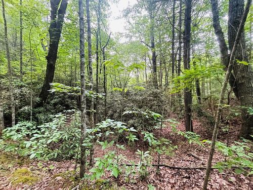 TBD Claudville Hwy, Claudville, VA, 24076 | Card Image