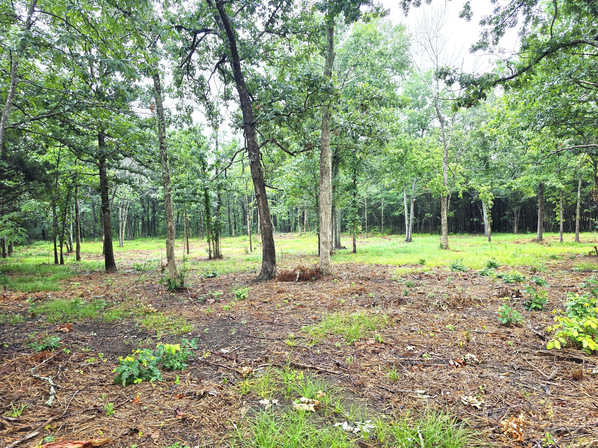 Land in Mount Juliet 2