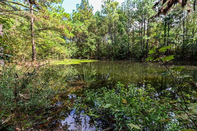 0 Highway 105, Home with 0 bedrooms, 0 bathrooms and null parking in Hull TX | Image 17