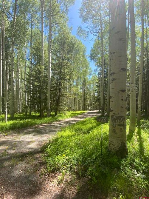 580 Columbine Dr, Cimarron, CO, 81220-9517 | Card Image
