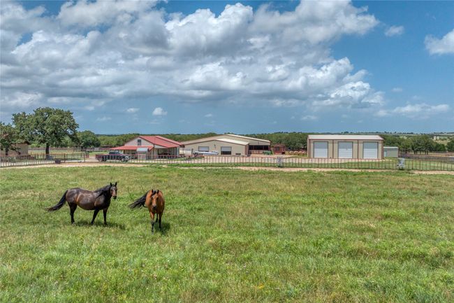 Front pasture | Image 16