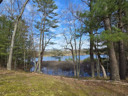 4735 N Alice Lake Dr, Irons, MI, 49644 | Card Image