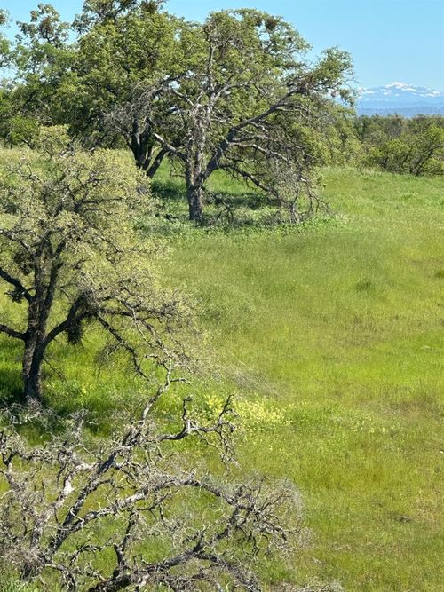 49 Cormorant Dr, Wallace, CA, 95254-7205 | Card Image