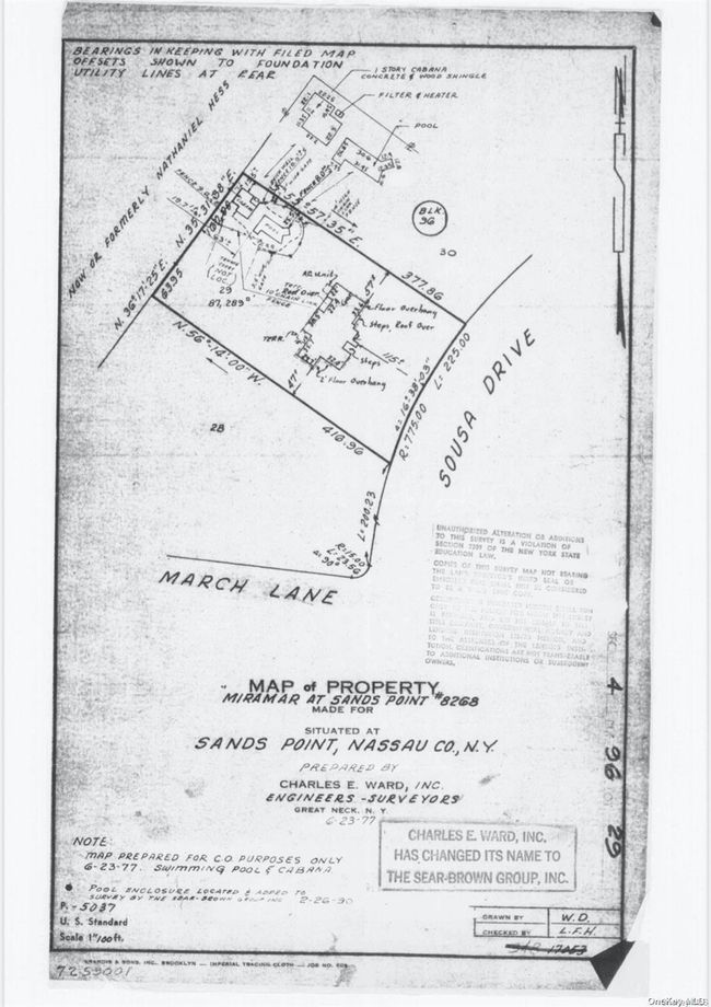SURVEY | Image 17