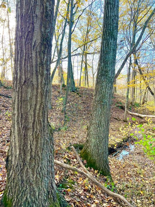 872 Mullen Rd, Moscow, OH, 45153 | Card Image