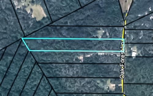 4235 Oak Forest Ln, Keystone Heights, FL, 32656-9733 | Card Image