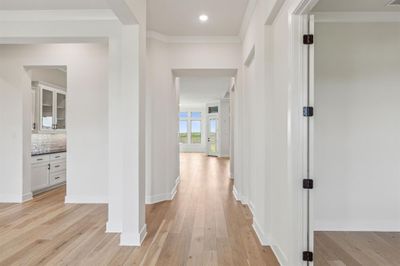 Hall featuring ornamental molding and light hardwood / wood-style floors | Image 3