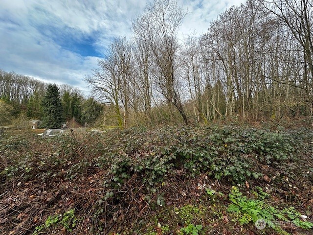 Land in Seattle