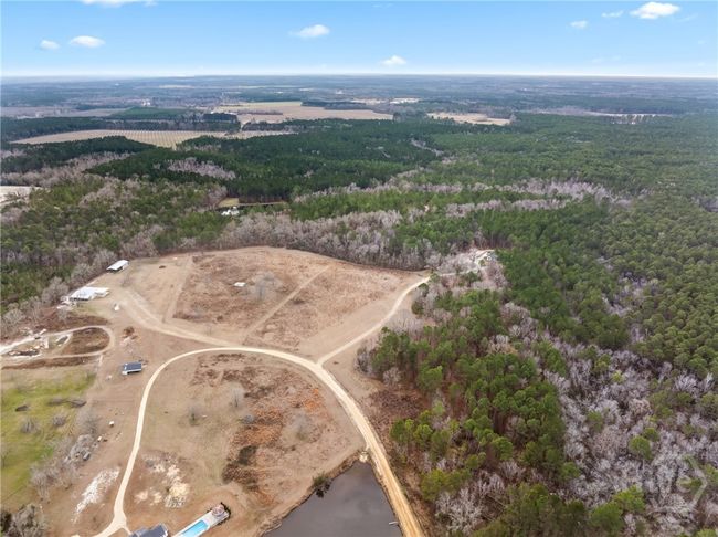 0 Banks Dairy Rd, Home with 0 bedrooms, 0 bathrooms and null parking in Portal GA | Image 6
