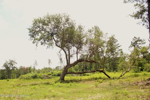 24.48ac River Road, Lucedale, MS, 39452 | Card Image