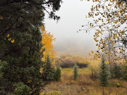 3215 Debonair Dr, Alton, UT, 84710 | Card Image