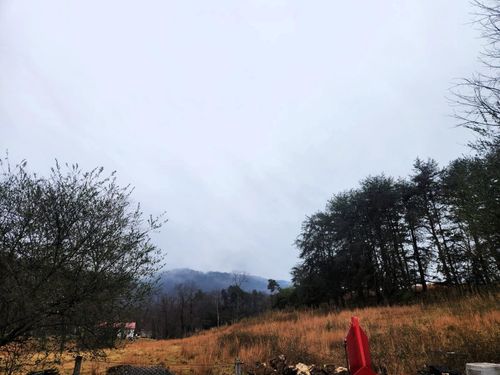 480 Brickyard Rd, Blue Ridge, VA, 24064-1959 | Card Image