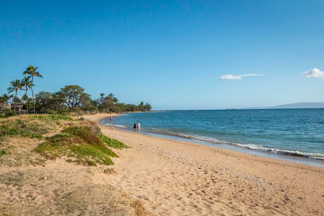 APT-301 - 938 S Kihei Rd, Condo with 1 bedrooms, 1 bathrooms and null parking in Kihei HI | Image 27