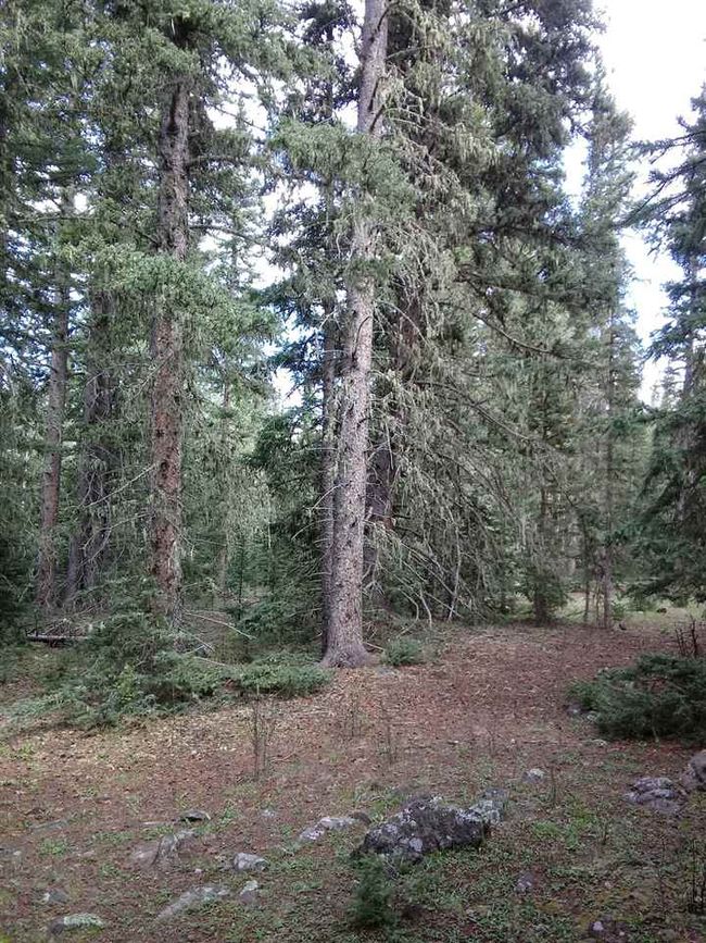 43 Happy Way, Home with 0 bedrooms, 0 bathrooms and null parking in Angel Fire NM | Image 4