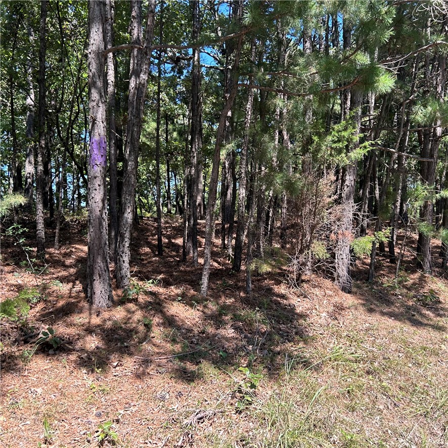 Land in Rogers 5