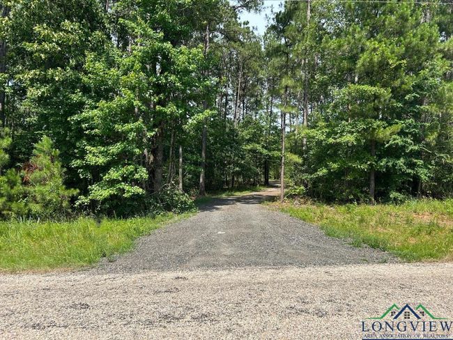 TBD 26.5 ac Boggy Rd., Home with 0 bedrooms, 0 bathrooms and null parking in Waskom TX | Image 10