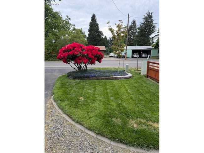 Front Yard | Image 5