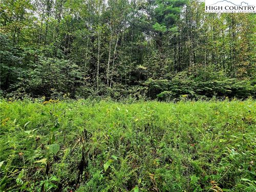 6 N. Old Nc Hwy 16, Millers Creek, NC, 28651 | Card Image