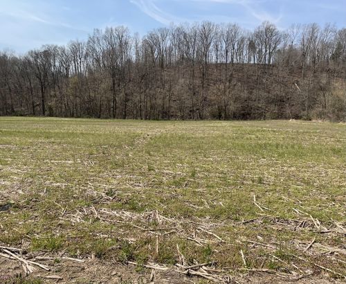 0 Dutch Creek Rd, Westmoreland, TN, 37186 | Card Image