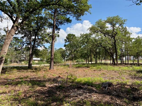 Lots-95/96 Shawnee Drive, Smithville, TX, 78957 | Card Image