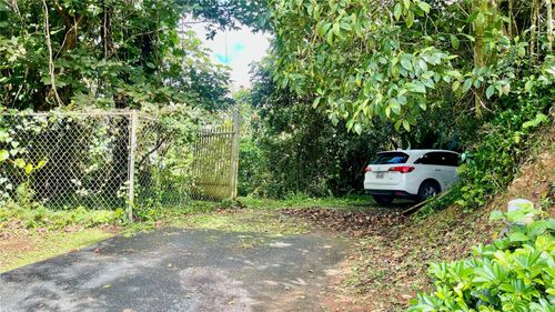 718 Bo. Pasto Road, Aibonito, PR, 00705 | Card Image