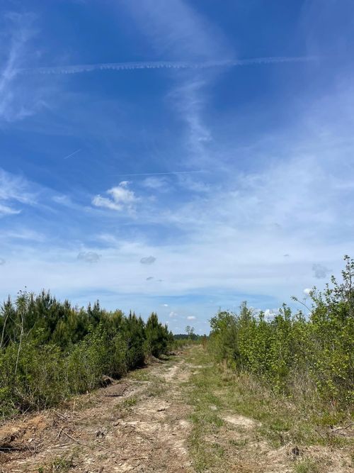 TBD 30 ac Rocky Ford Rd., Salters, SC, 29590 | Card Image