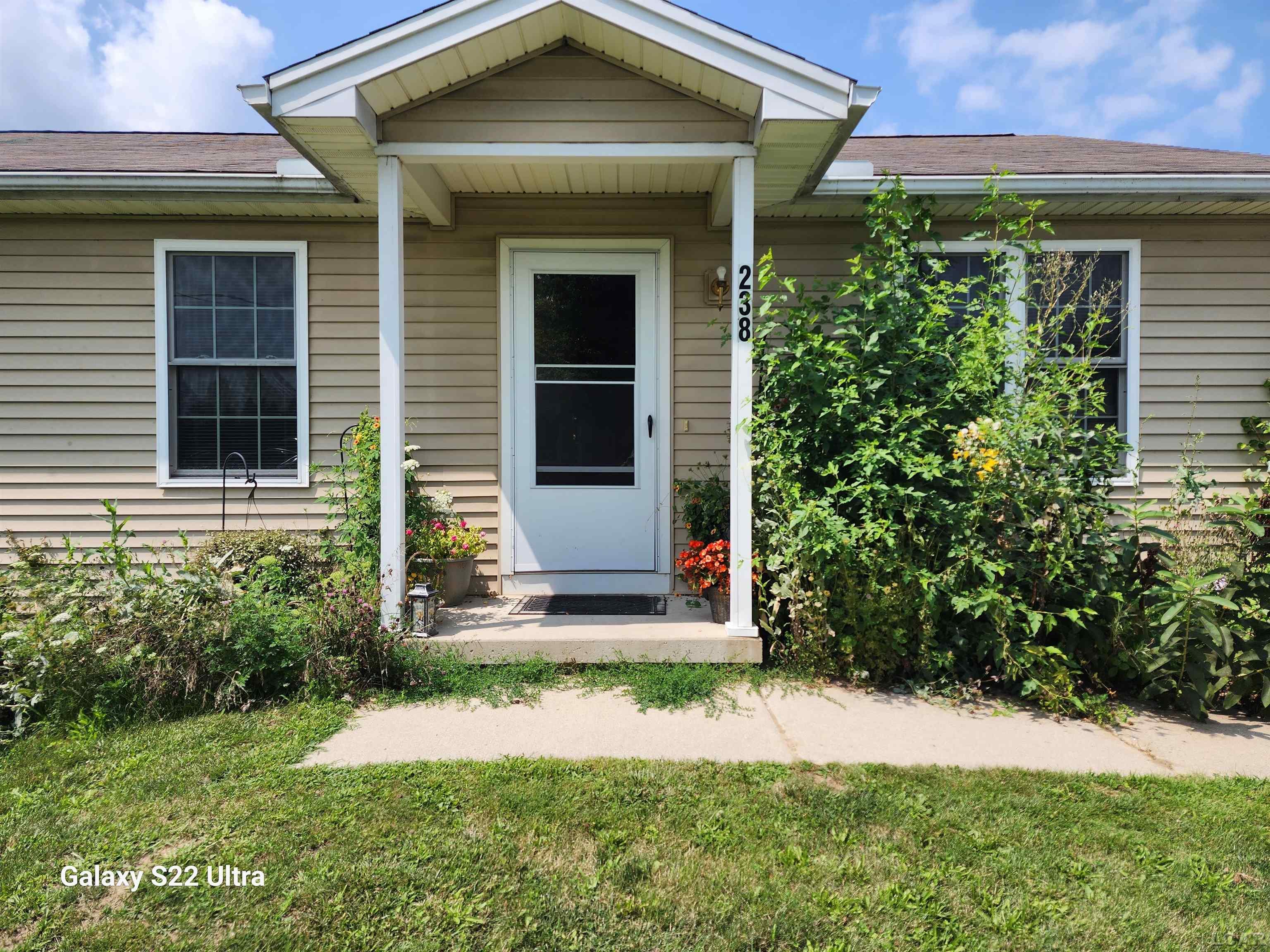 Joy St, Blissfield, MI 49228