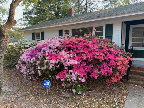 519 32nd Ave N, Myrtle Beach, SC, 29577-2909 | Card Image