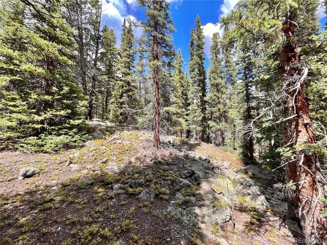 676 Dry Gulch Rd, Home with 0 bedrooms, 0 bathrooms and null parking in Fairplay CO | Image 20