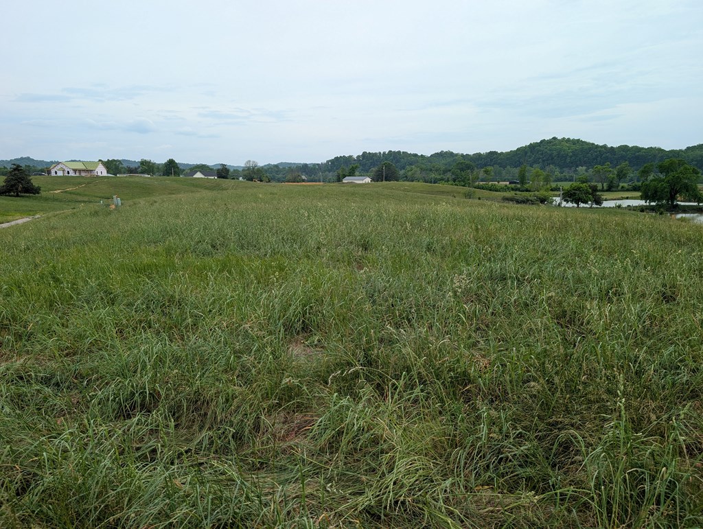 Land in Burkesville 2