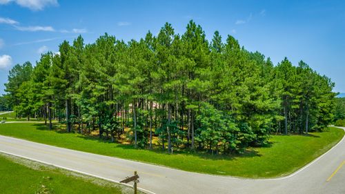 0 River Bluffs Dr, Jasper, TN, 37347 | Card Image