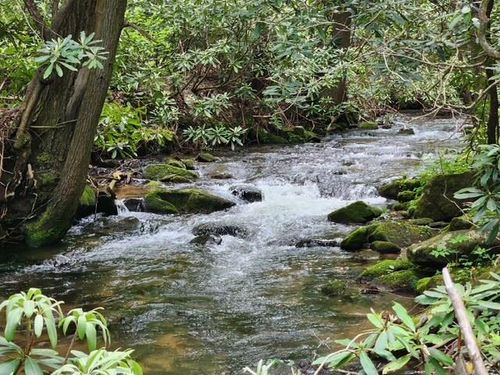 LL 25 Cashes Valley Ln, Cherry Log, GA, 30522-2183 | Card Image