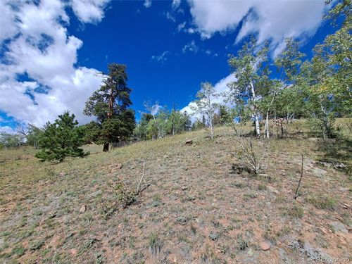6452 Remington Rd, Como, CO, 80432 | Card Image